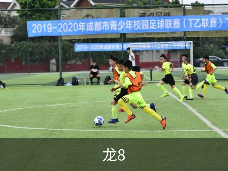 走进龙8